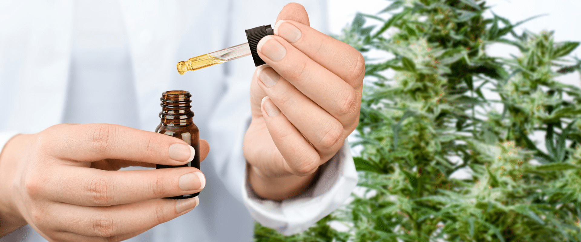 Is cbd still considered a drug?