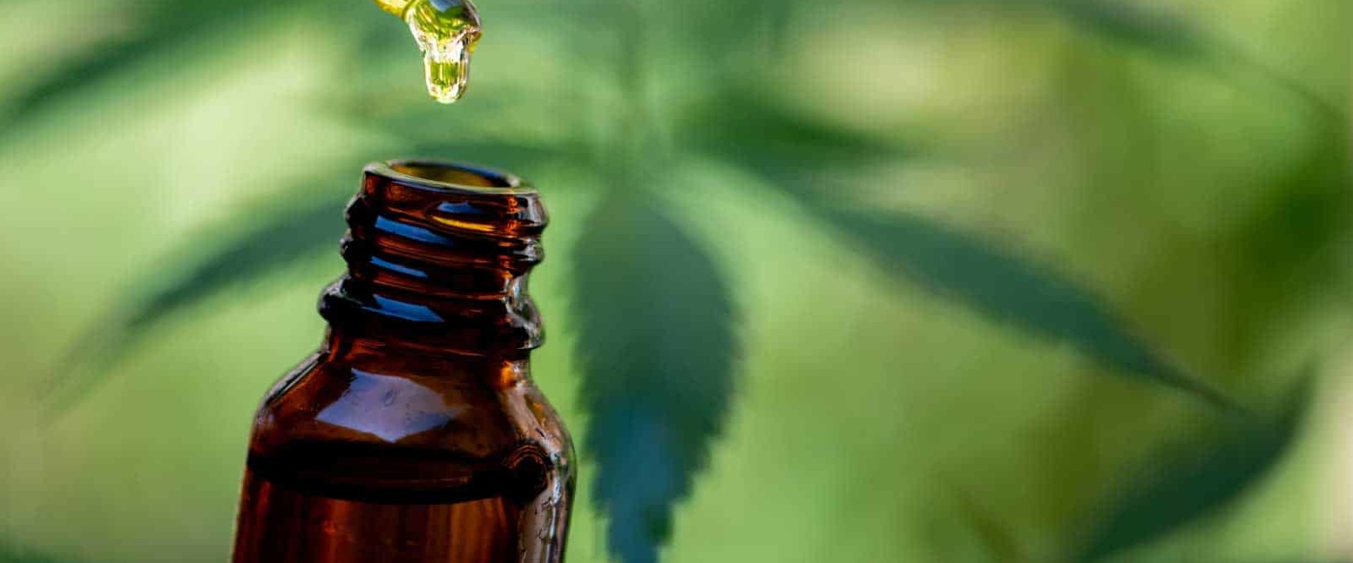 CBD and Drug Tests: What You Need to Know - An Expert's Perspective