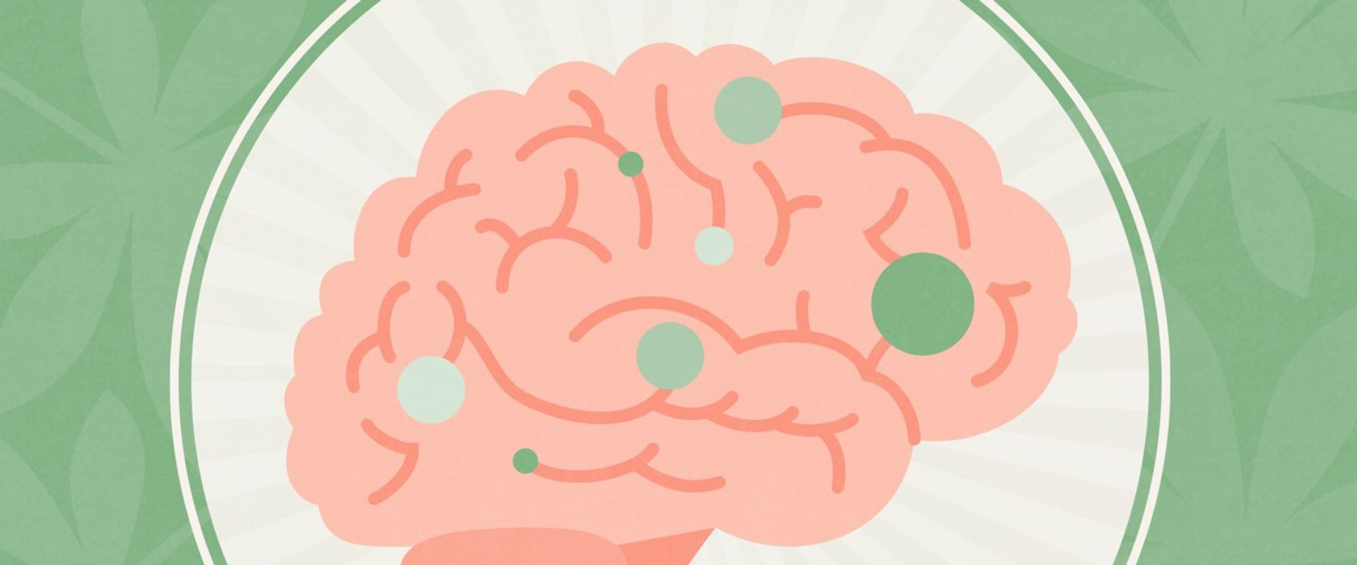 The Power of CBD for Brain Health
