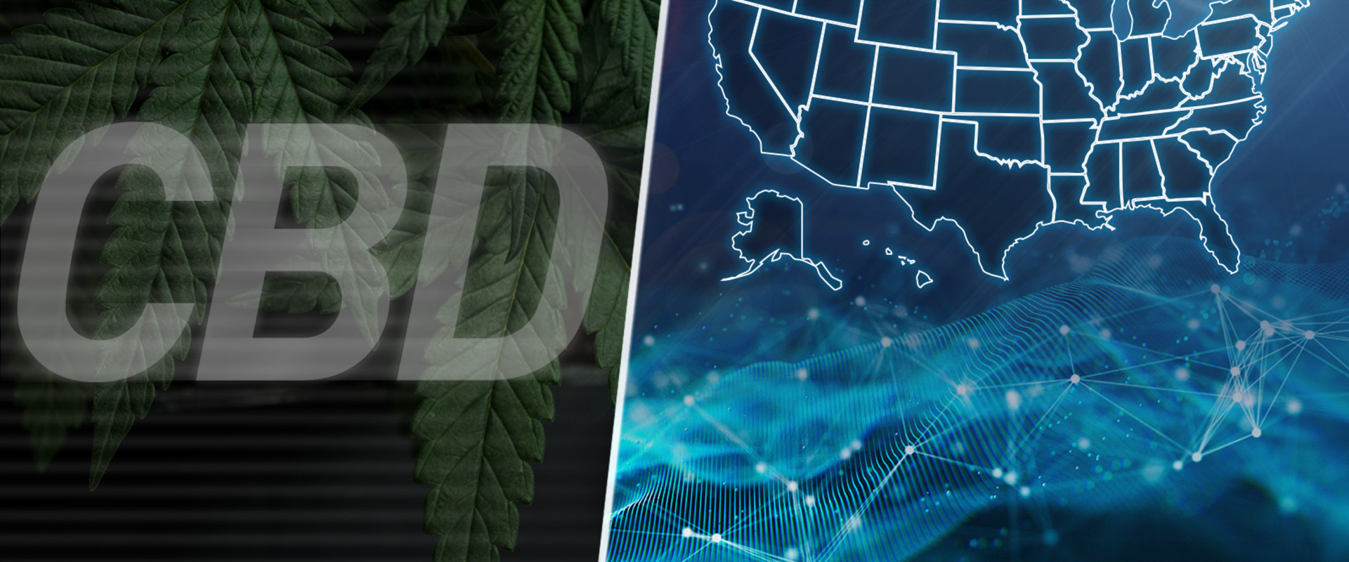 The Truth About CBD: What You Need to Know