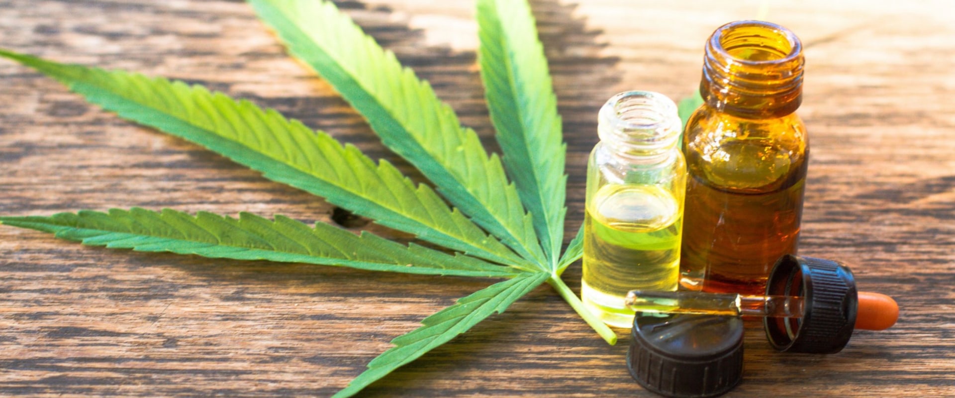 CBD vs Medical Marijuana: Understanding the Differences