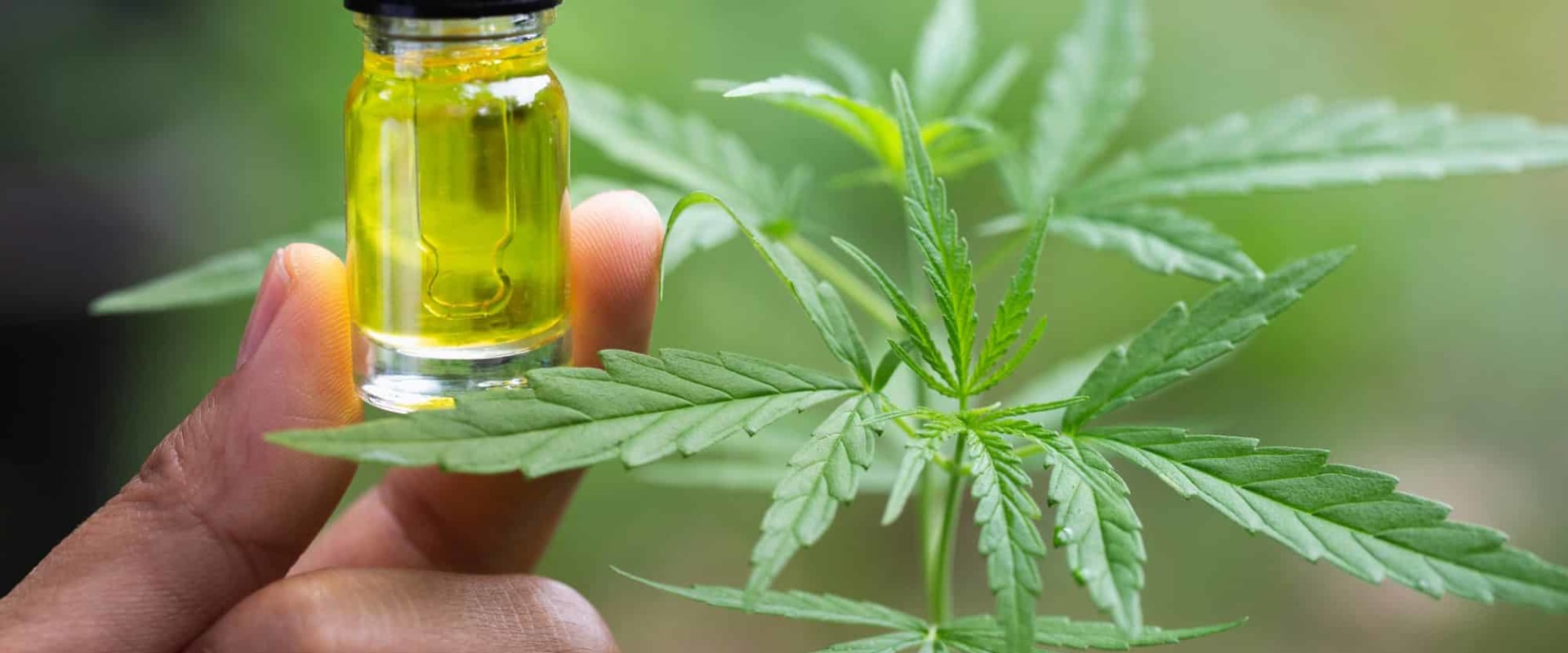The Truth About CBD and Marijuana: What You Need to Know