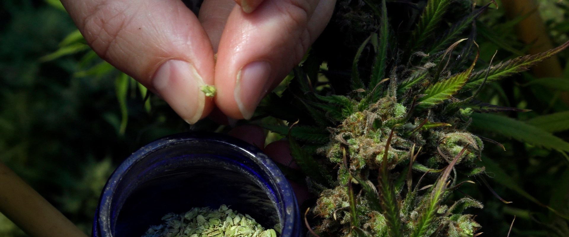 The Truth About CBD: Debunking Common Misconceptions