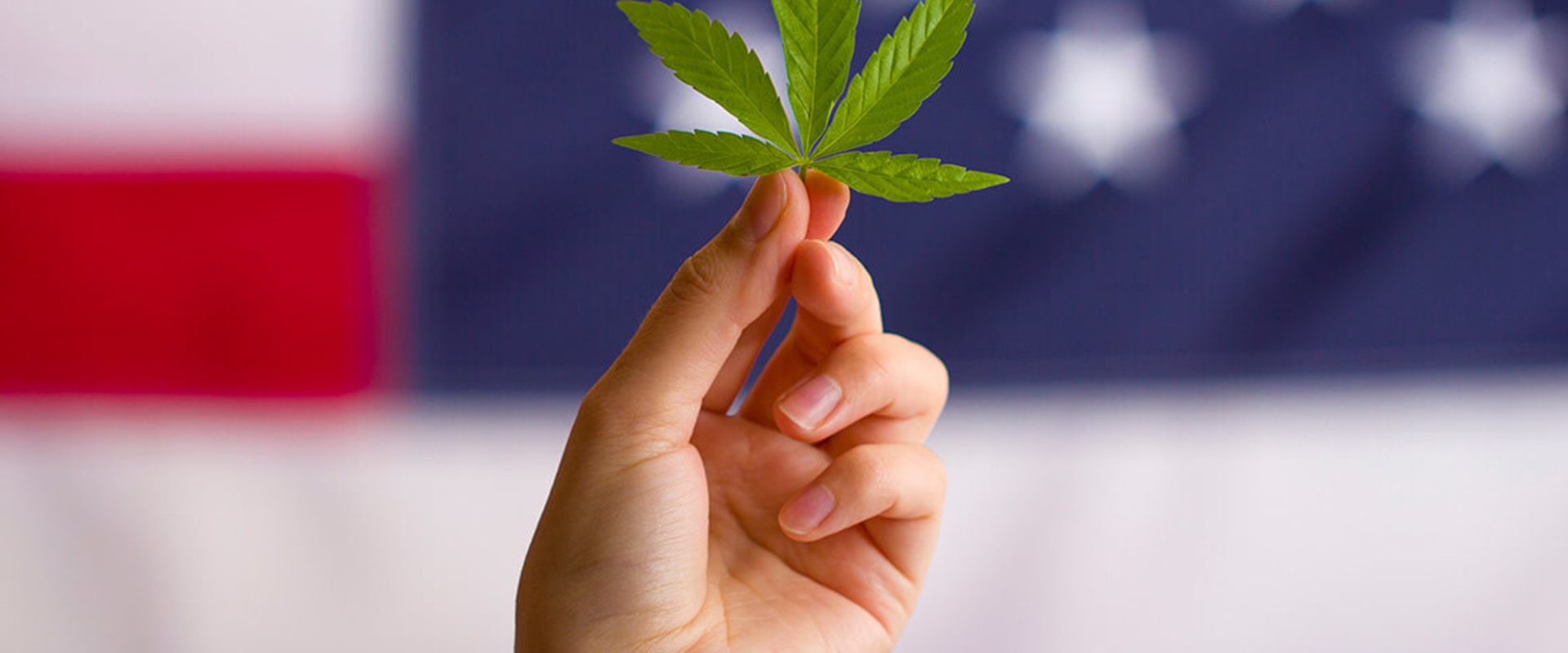 The Legal Status of CBD: What You Need to Know as an Expert