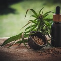 The Potential Benefits and Risks of CBD Oil for the Elderly