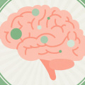 The Power of CBD for Brain Health