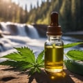 The Truth About CBD: Benefits and Risks