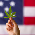 The Legal Status of CBD: What You Need to Know as an Expert