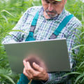 Frosted Kush Strain Effects Connected to Cannabidiol’s Natural Benefits
