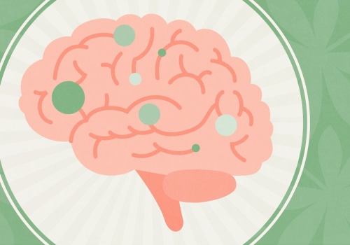 The Power of CBD for Brain Health