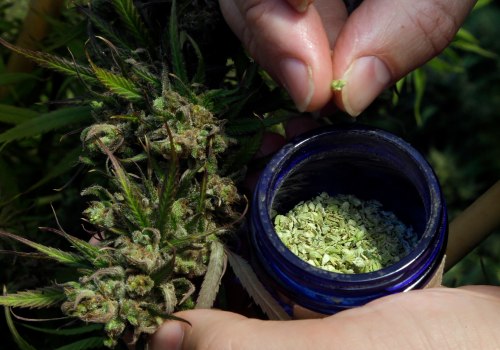 The Truth About CBD: Debunking Common Misconceptions