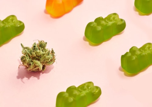 What Should You Look for In a CBD Gummy Sample Pack for Beginners?
